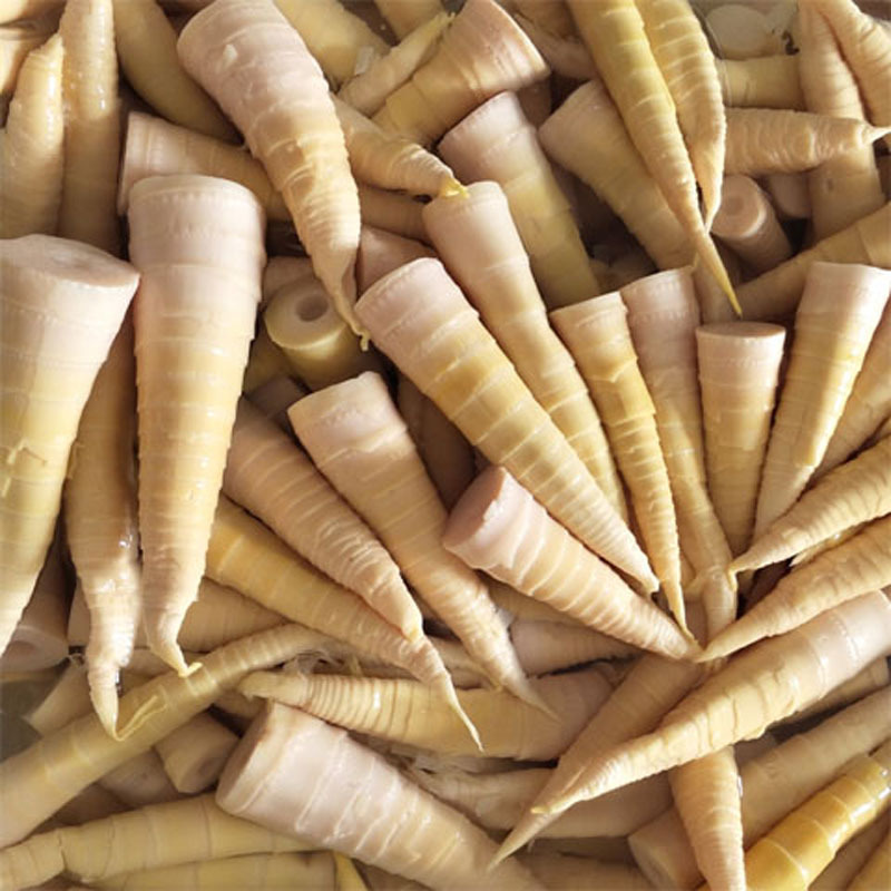 黄山清水春雷笋山货现挖野生新鲜毛竹笋农家地道450g袋装特产