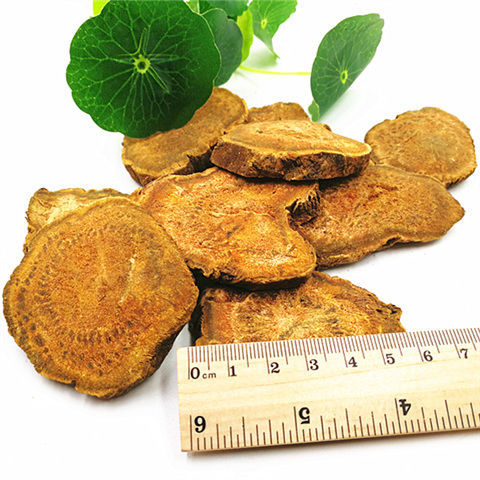 材 生大黄马蹄黄大黄粉新鲜干货 500克250克