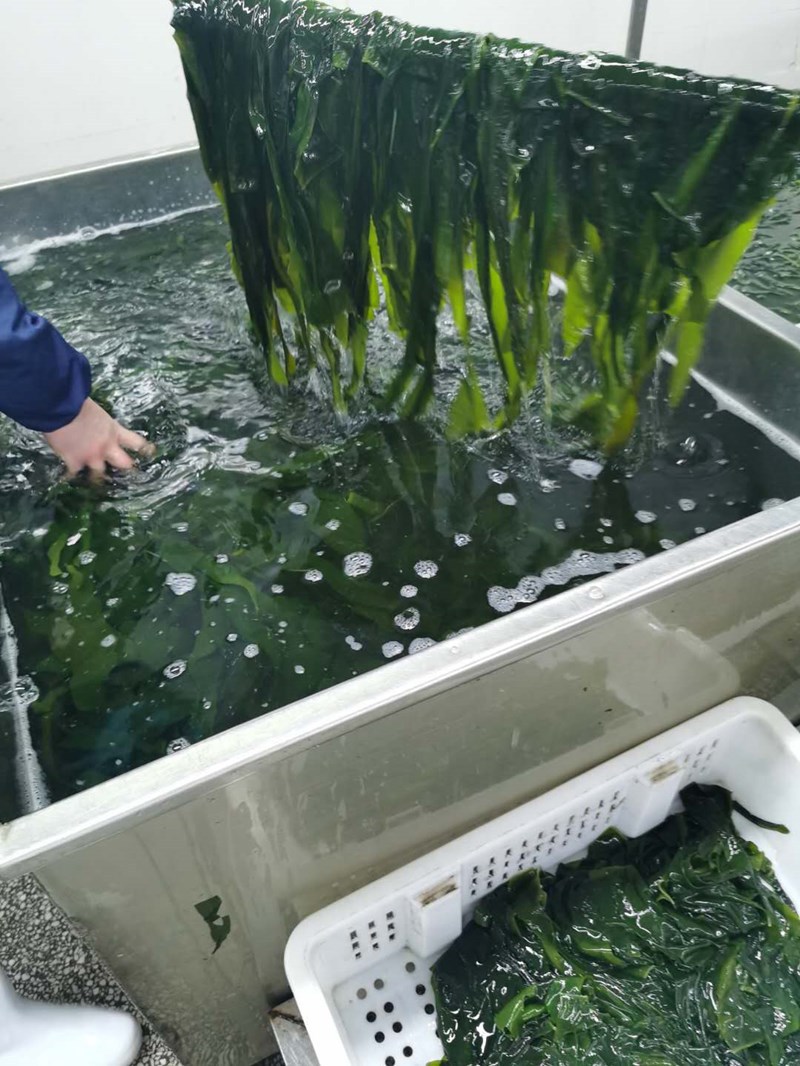 火锅裙带菜海带芽海带苗嫩芽即食火锅裙带菜叶海带汤200克/袋