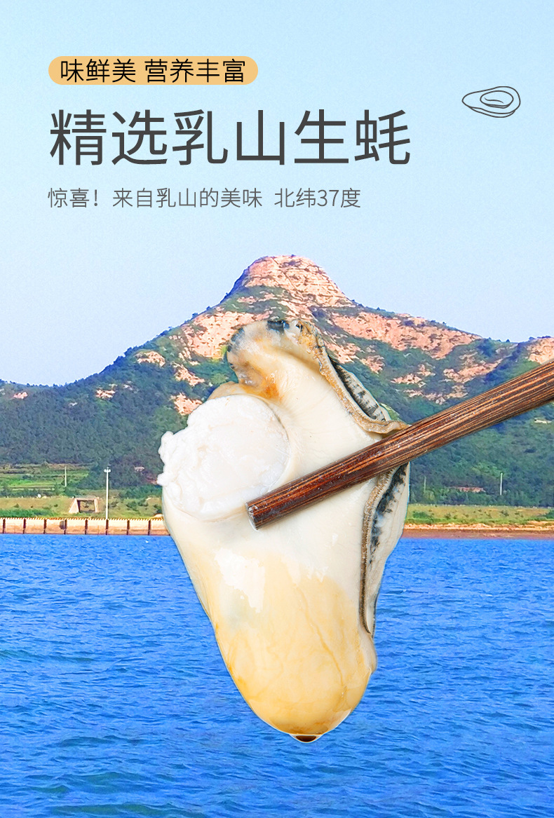 空运海鲜代发批发水产贝类乳山牡蛎 海蛎子乳山生蚝鲜活1