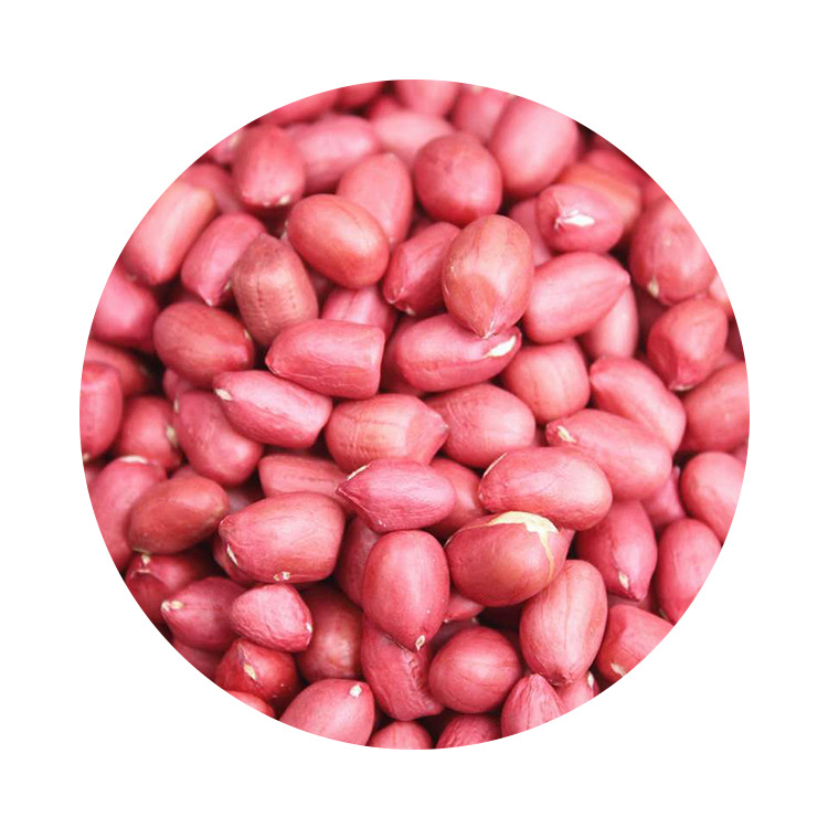 0成交856包新货 四粒红花生新货带壳红衣红皮中小粒花生米东北特产一