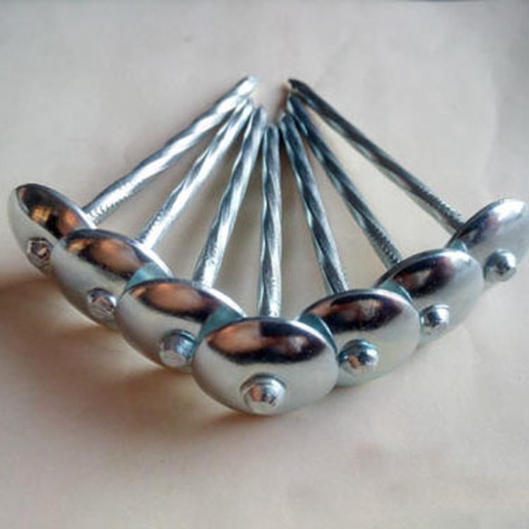 瓦楞钉  镀锌麻花钉大头钉加长大帽木用钉子瓦楞钉螺丝钉水泥墙钉