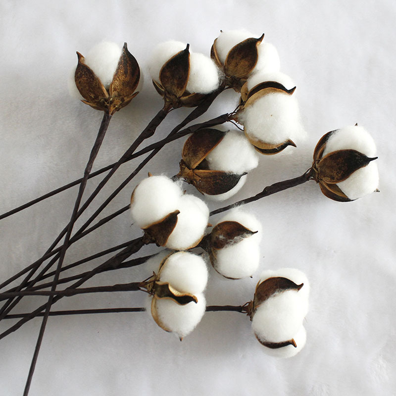 仿真单支永生棉花 彩色天然棉花 家居装饰插花道具手工假棉花