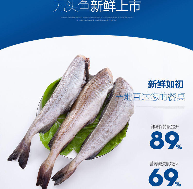 10斤去头鳕鱼新鲜无头鱼狭鳕鱼明太鱼海鲜水产深海鳕鱼大棒鱼柴鱼