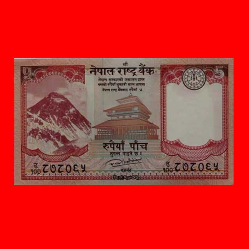 包真全新外国钱币美洲苏里南壹百100盾红嘴鸟收藏礼品展销小礼物