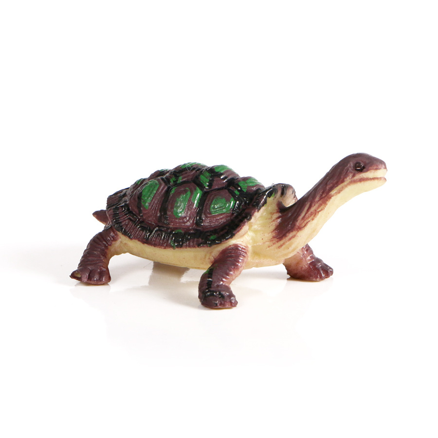 迷你仿真实心乌龟模型12只装 野生动物搪胶水龟陆龟摆件玩具手办