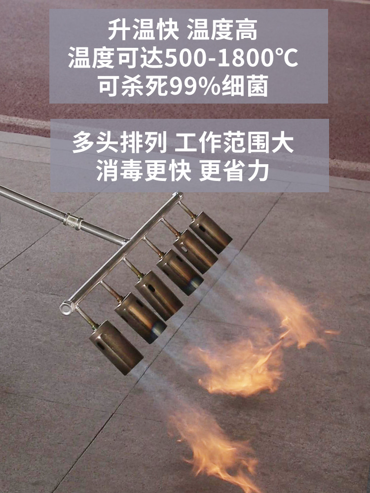 多头消毒火焰枪养殖场猪圈高温杀菌农用除草液化气喷火枪4头6个头