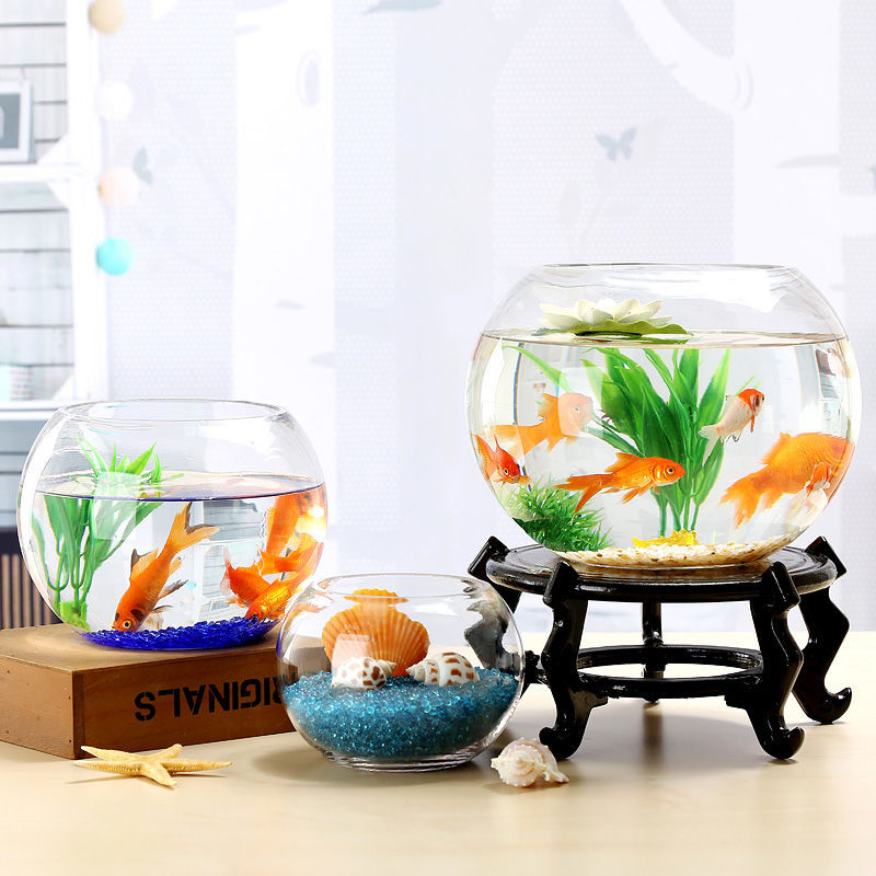 加厚圆形生态玻璃金鱼缸创意水族箱客厅大号植物绿萝水培大缸造景