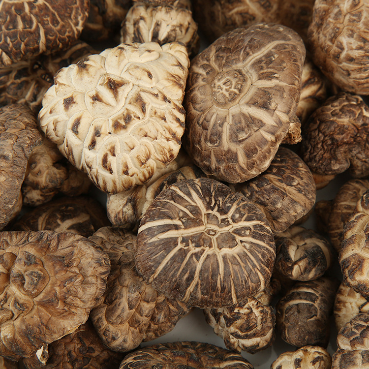 房县香菇 厂家直销野生椴木花菇 肉菇 原木丑菇带腿 500g代发包邮