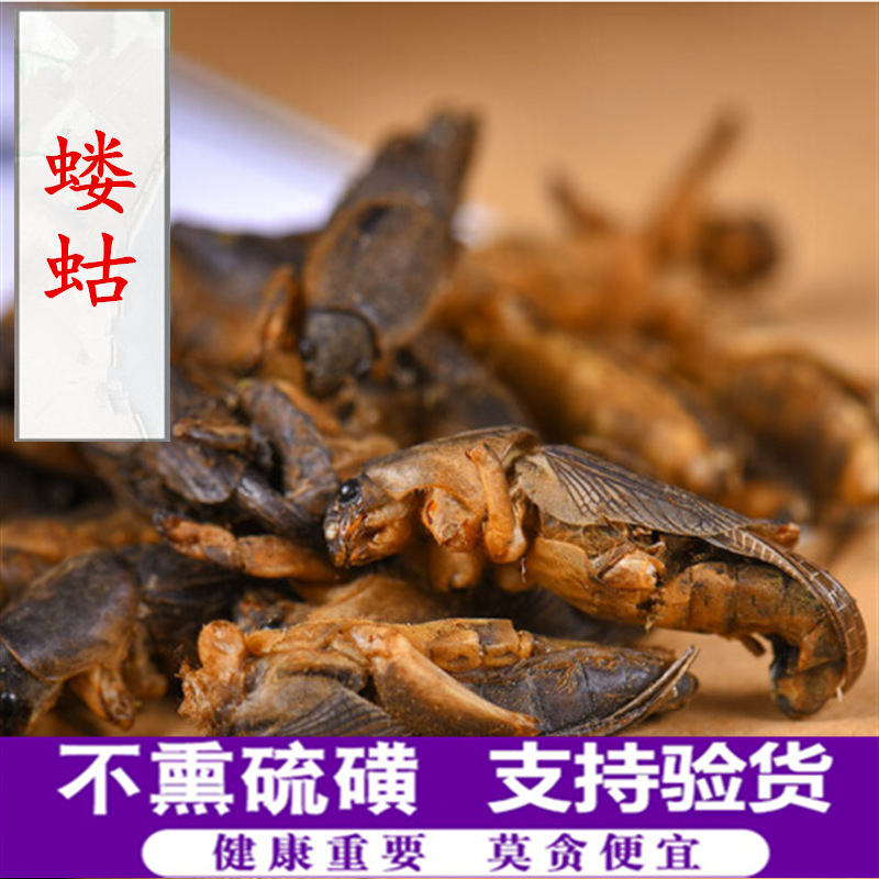 动物中药材精选蝲蛄蝼蛄蝼蛄干拉蛄支持药检承接订单
