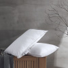 Exit Five-star hotel Down Pillow core 70% White Goose Down 80 Fabric Neck protection Single Goose down pillow wholesale