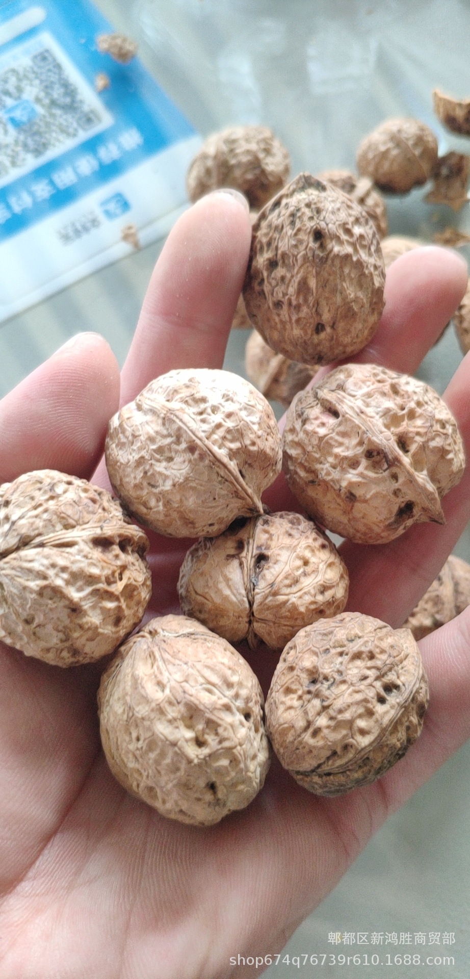 云南麻子核桃新货干核桃跑江湖地摊热卖产品薄皮核桃产地货源