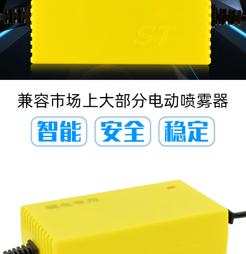 厂家批发12v2a电动喷雾器打药机园林工具农业机械锂电池充电器