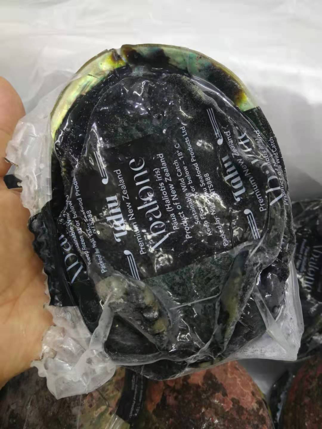 有限公司美渔食品|5年 |主营产品:红酒鹅肝;开背媚公鱼;花螺;北极贝