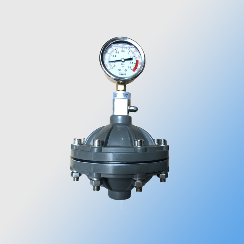 安装方便脉冲阻尼器装有压力表,显示工作进程外壳材质为pvc,pp,pvdf