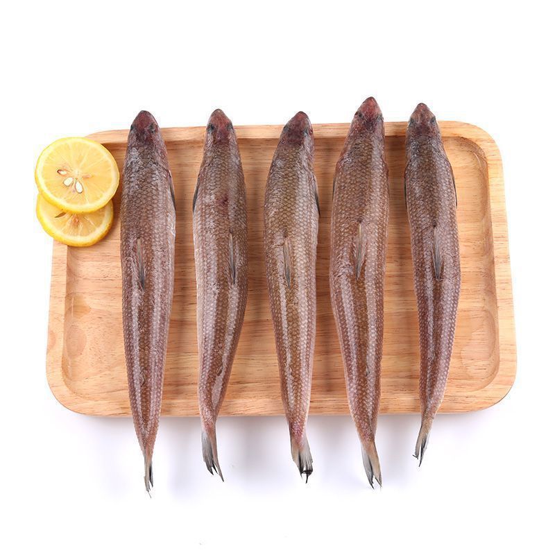 4斤顺丰包邮海捕小梭鱼深海沙丁鱼海鲜水产速冻小杂鱼海鱼-阿里巴巴