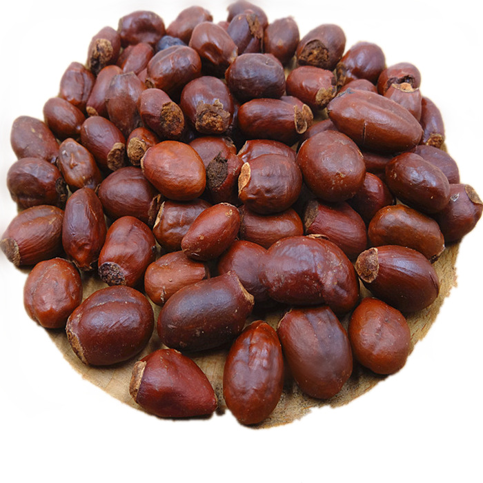 荔枝核lizhihe产地广西玉林市6月上新15元每公斤包邮荔枝仁