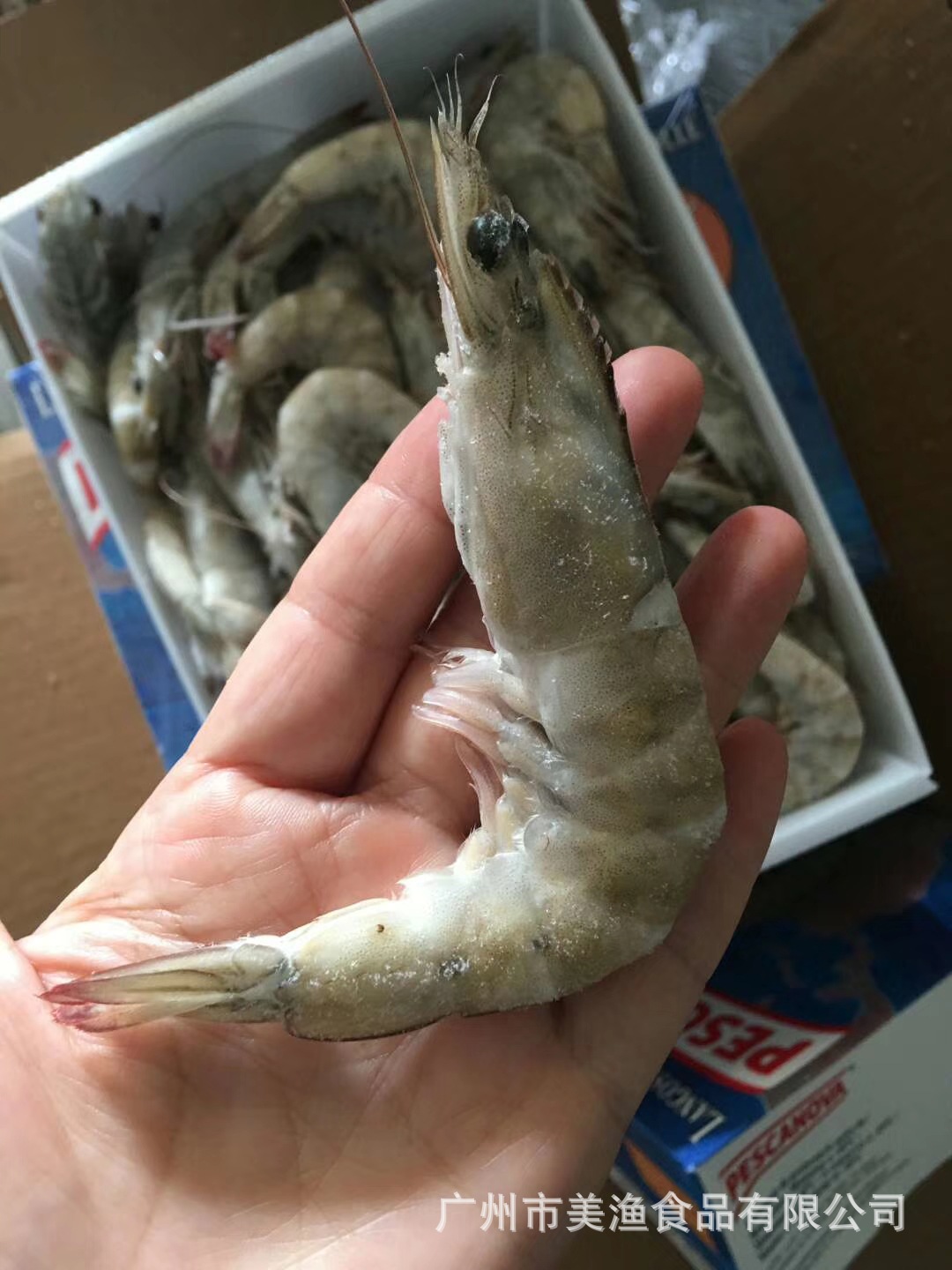 盐冻老船长 厄瓜多尔南美虾 白虾盒蓝盒壳薄肉厚30/40规格 2kg/盒