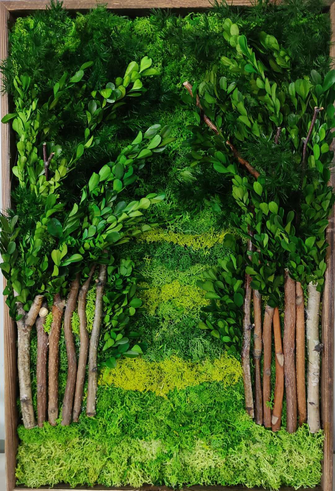 植物相框画 工艺画摆件相框画立体画植墙永生苔藓花画