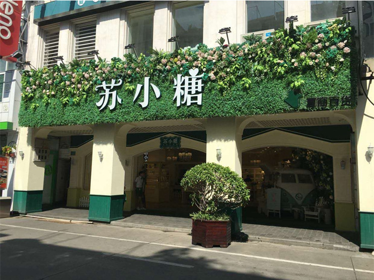 仿真植物绿植墙草坪门头餐厅墙面绿草装饰塑料假草坪草皮水果垫子
