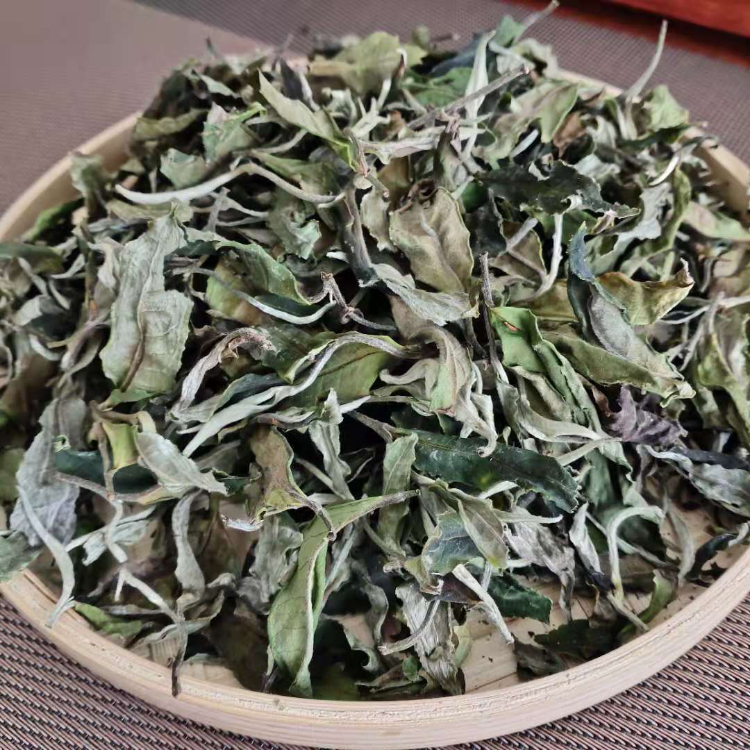 现货批发勐库大叶种白茶云南古树白茶