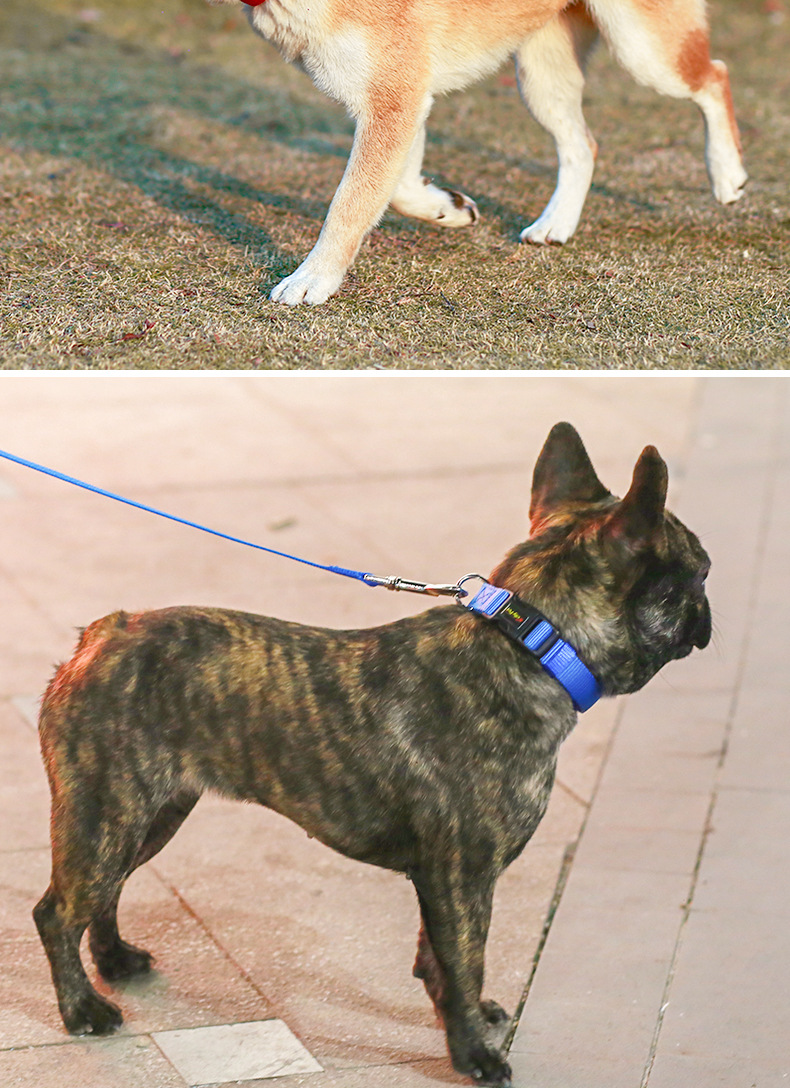 亚马逊宠物狗项圈狗绳子狗链潜水布狗脖圈狗脖套kellypet厂家批发