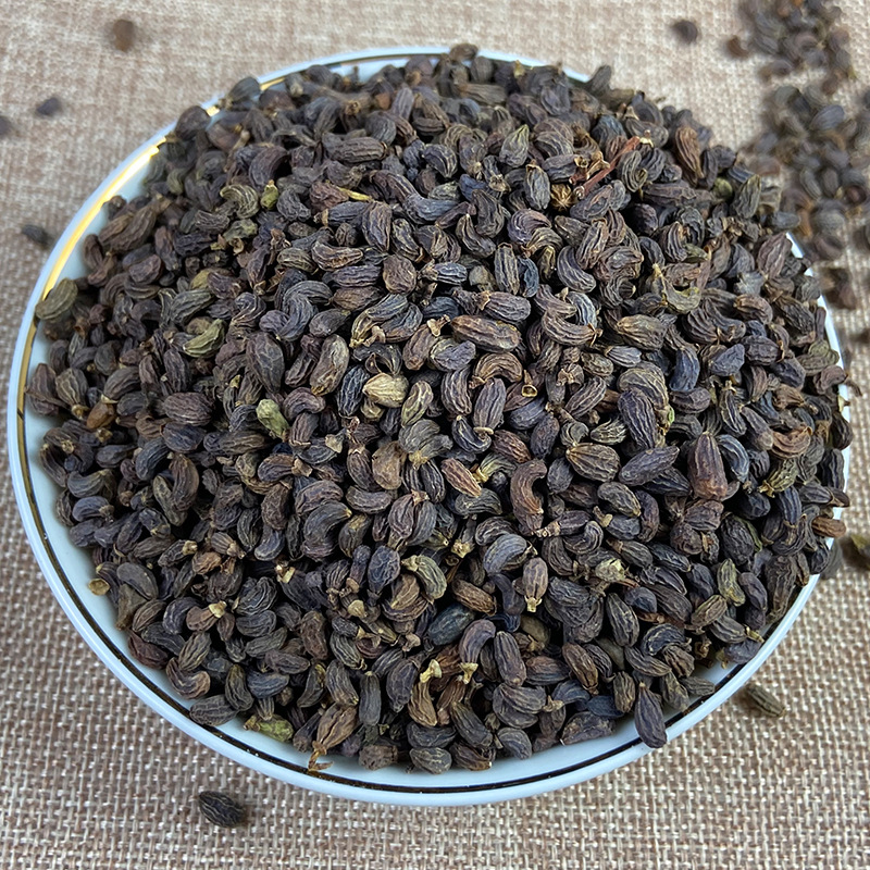 中药材女贞子 冬青子 颗粒饱满无杂 鸡腰形圆形