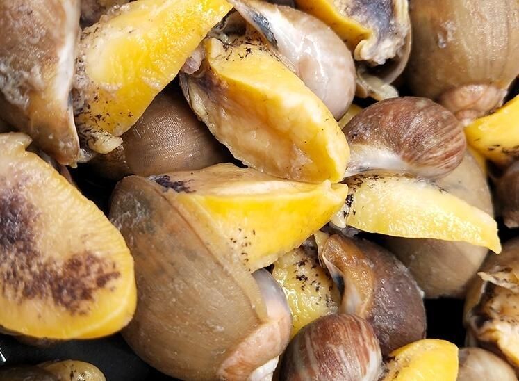 5斤顺丰包邮野生鲍螺海捕速冻新鲜老婆脚蛾螺海鲜贝海螺假鲍鱼