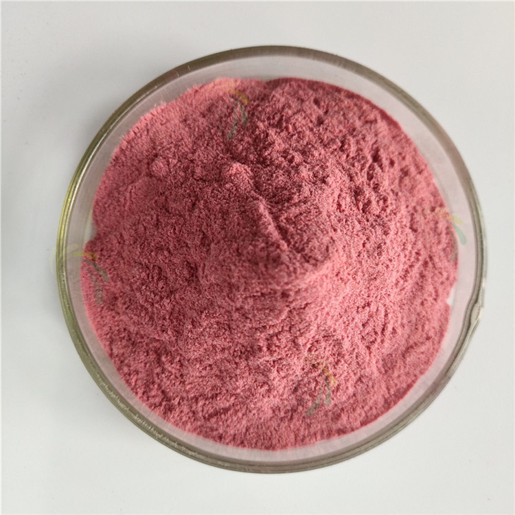 厂家直供 杨梅粉 杨梅粉 杨梅果粉 喷雾干燥 大量现货 现货批发