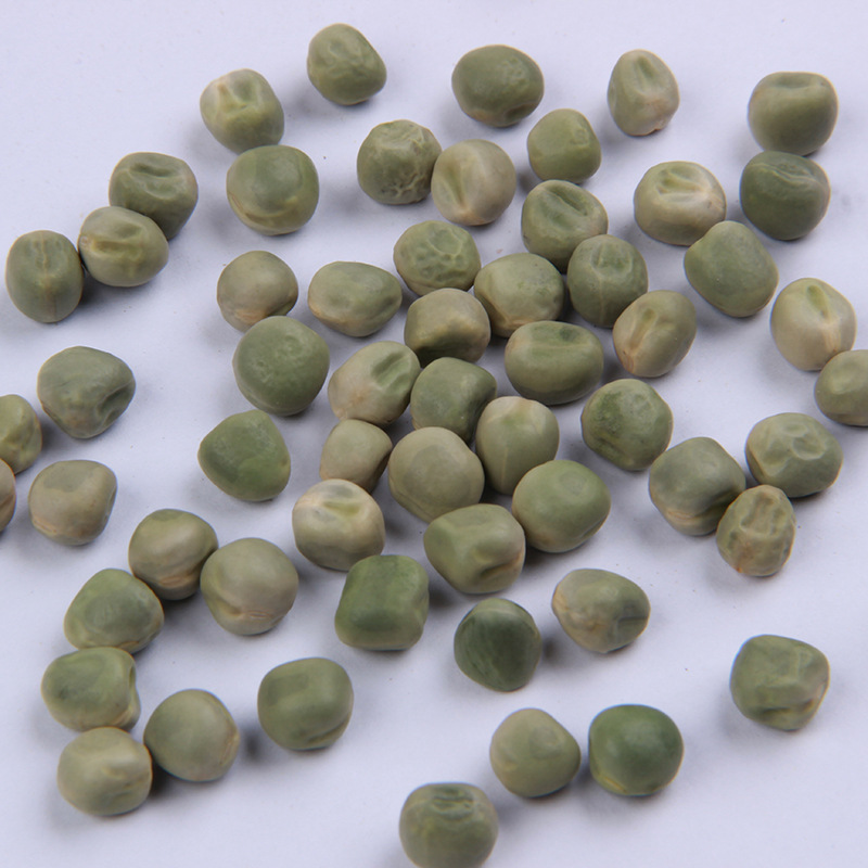 批发豌豆种子 散装甜豌豆种子 阳台菜园秋冬蔬菜种子青豆菜种子