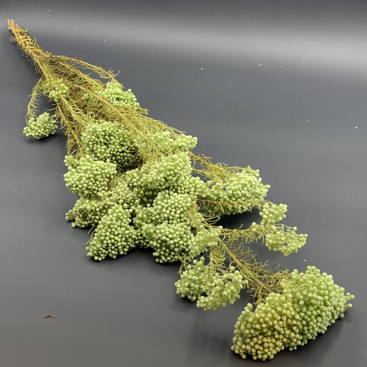 米花 永生花 装饰 摆件 婚庆 花艺 插花 首单优惠 厂家直销