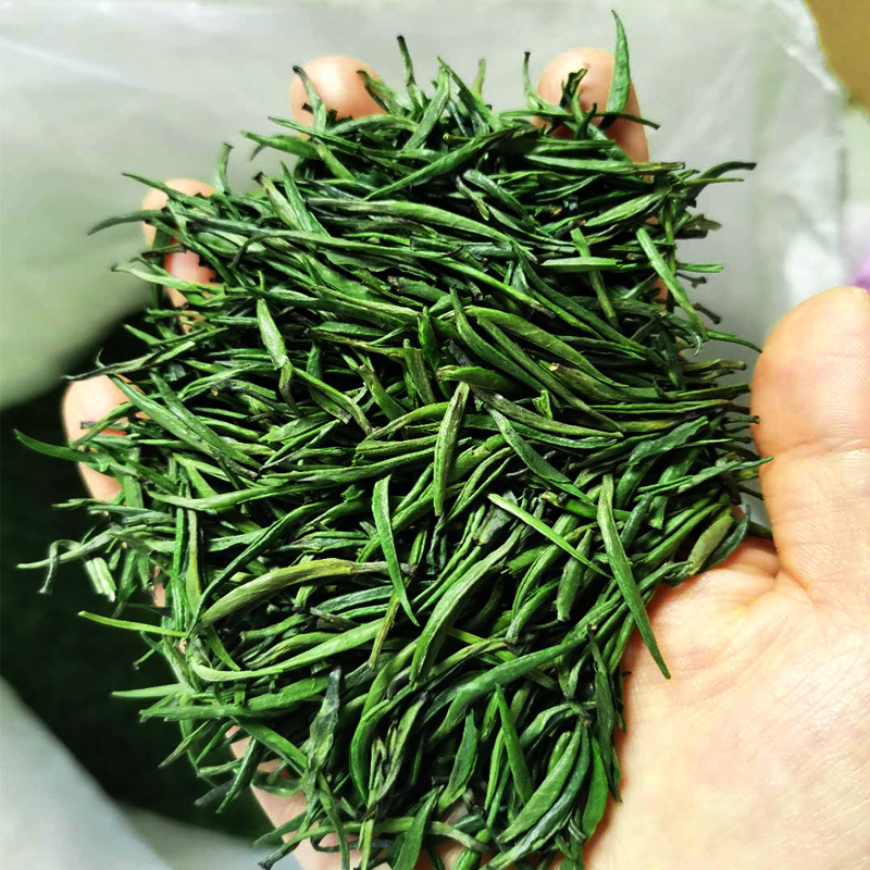 湄潭翠芽茶 贵州绿茶批发直销散装竹叶单芽 特产遵义雀舌新茶