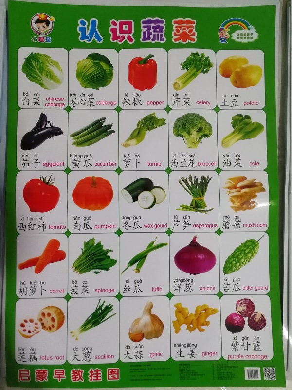 儿童早教无声挂图幼儿防水挂图挂画淘宝赠品好孩子儿童早教挂图