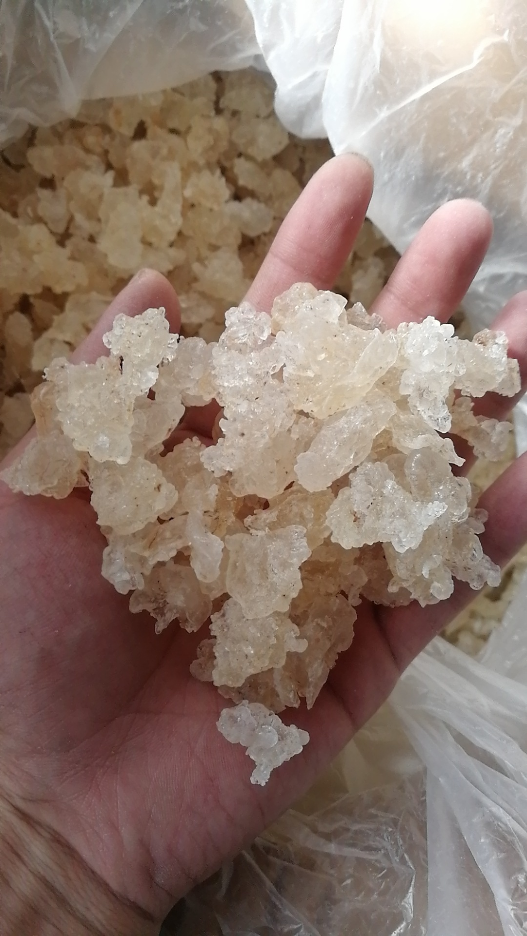 雪燕拉丝雪燕植物燕窝杂质少拉丝雪燕皂角米批发一件代发