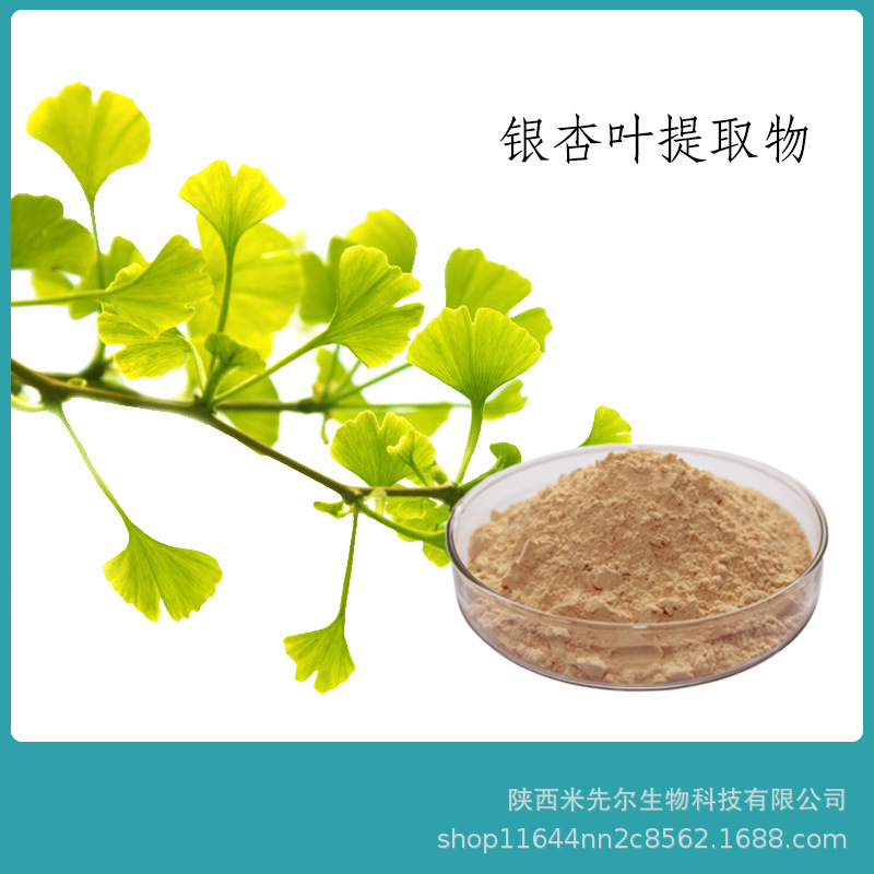 银杏叶提取物101银杏叶粉银杏叶原料粉水溶银杏粉