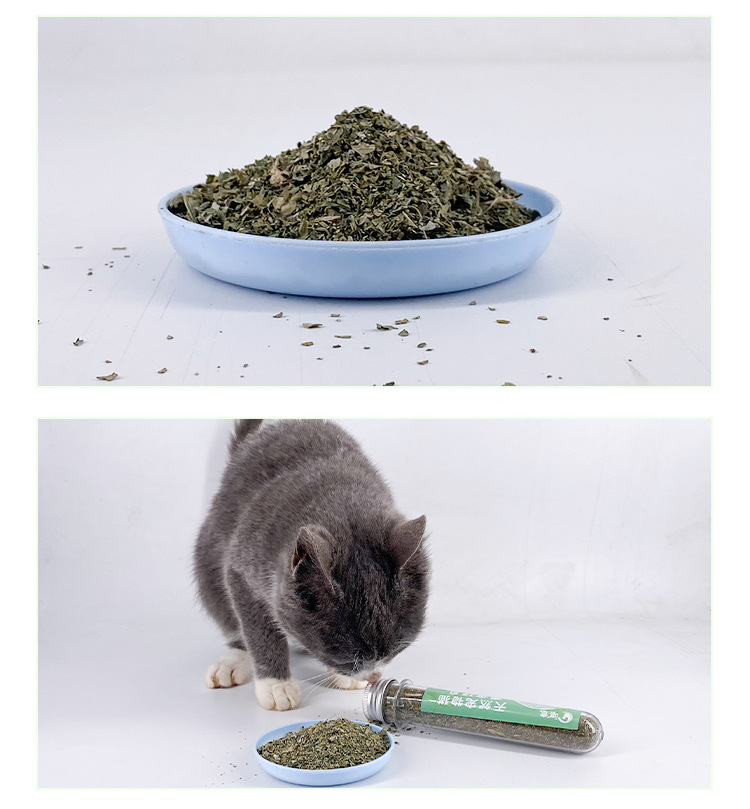 猫薄荷粉(试管装)详情_10.jpg