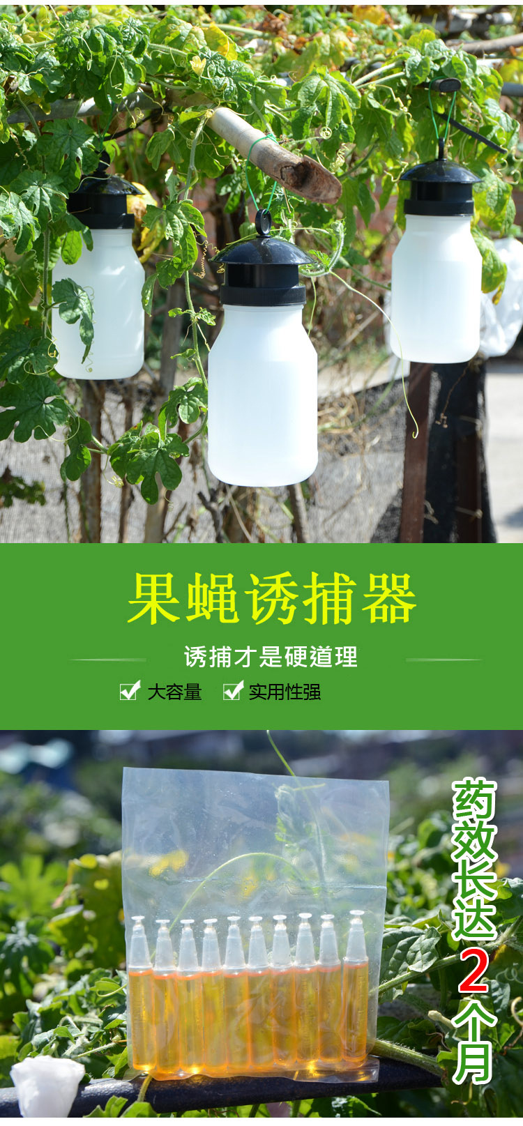 3代果蝇诱捕器果园菜地瓜果实蝇针蜂 果蝇引诱剂内含捕抓器引诱剂