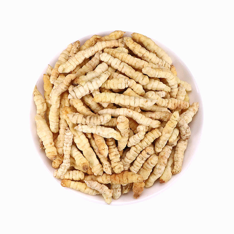 中药材批发 草食蚕 白虫草 土冬虫草 白冬虫草 地蚕 泽兰根