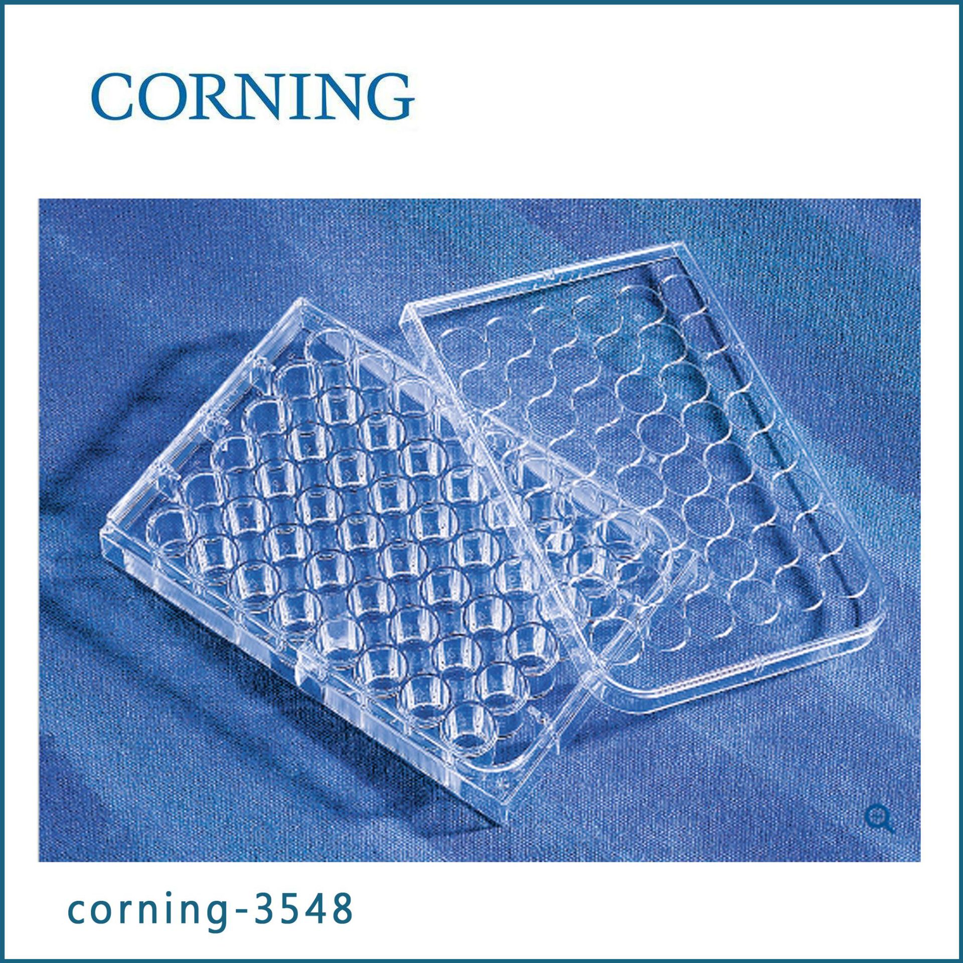 康宁corning 3548 48孔细胞培养板 无热原 1块/包 100包/箱
