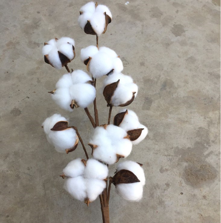 餐桌木棉花 棉花干花束材料diy花束花材生日礼物创意电视墙圣诞节