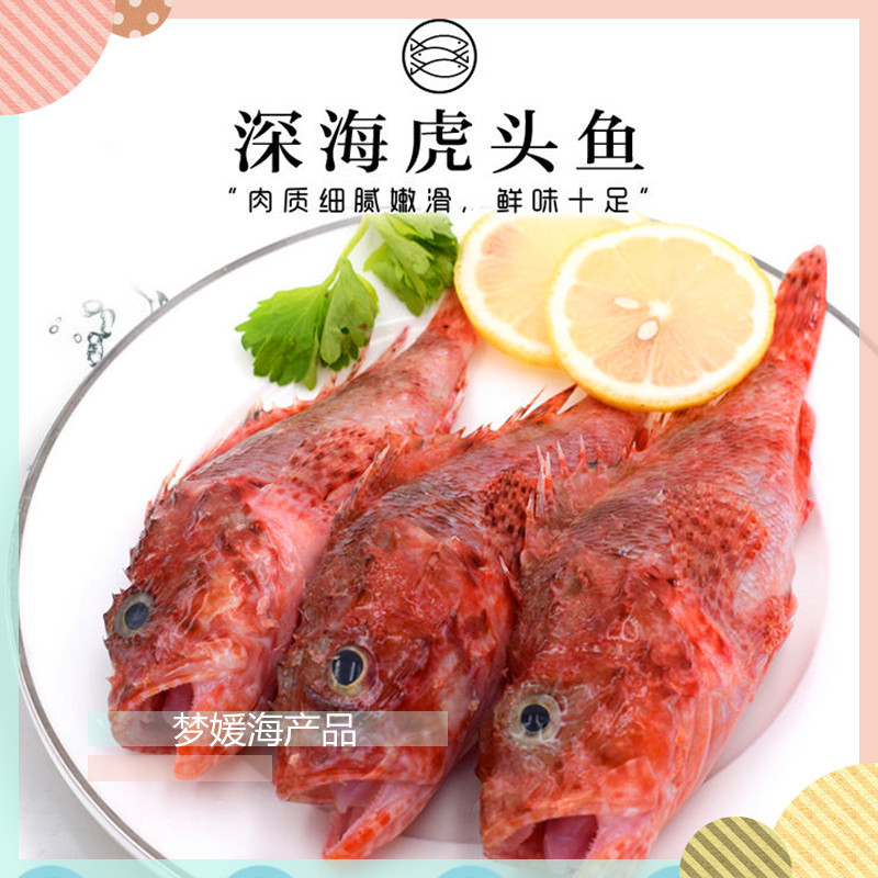 虎头斑鱼整条鲜活冷冻老虎斑鱼石斑鱼深海鱼速冻鲜活海鲜水产