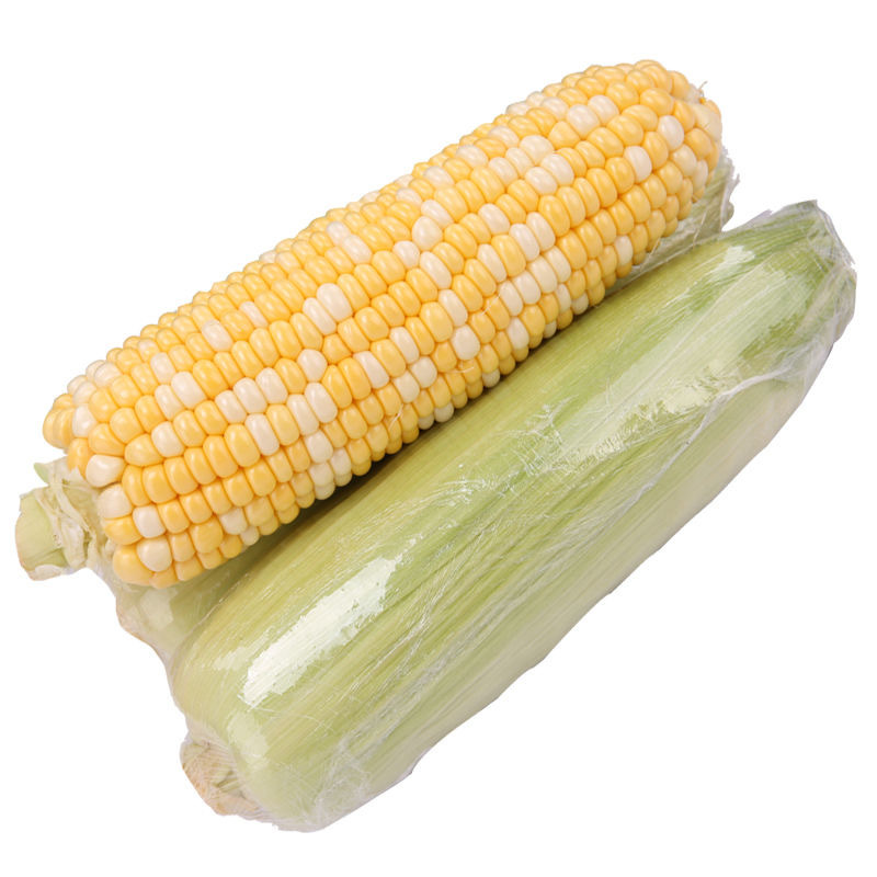 现摘云南金银水果玉米爆浆生吃甜玉米新鲜当季非牛奶玉米10斤包邮