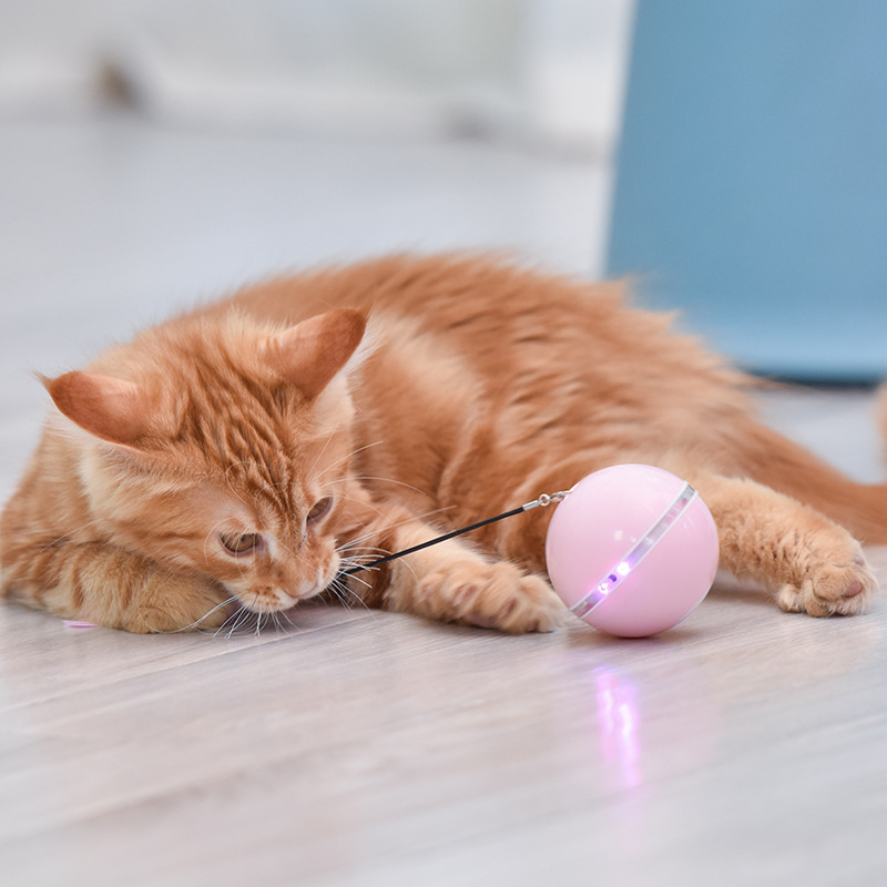 新款激光逗猫球玩具 跨境专供led发光塑料羽毛铃铛配件电动猫玩具