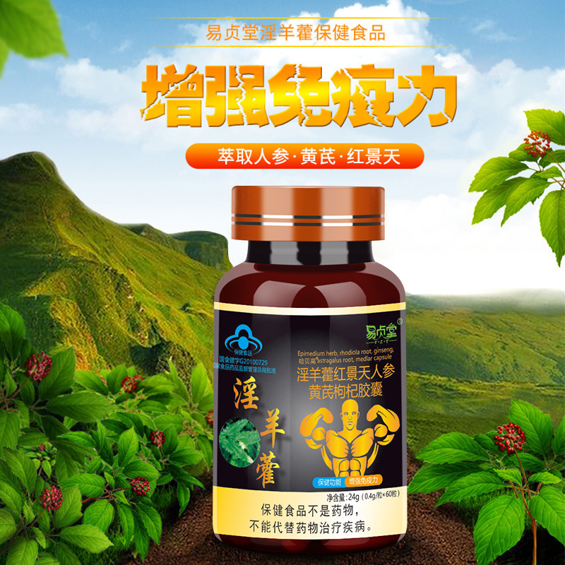 厂家直销淫羊藿软胶囊男性保健食品红景天软胶囊瓶装60粒批发代理