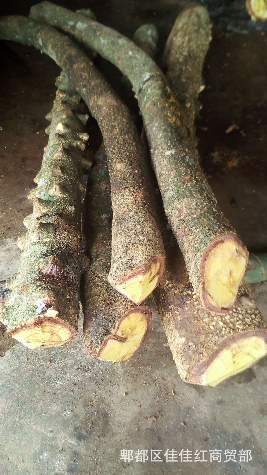 跑江湖地摊热卖新鲜鸡血藤大血藤黑血藤砍砍药大山根子药产地货源