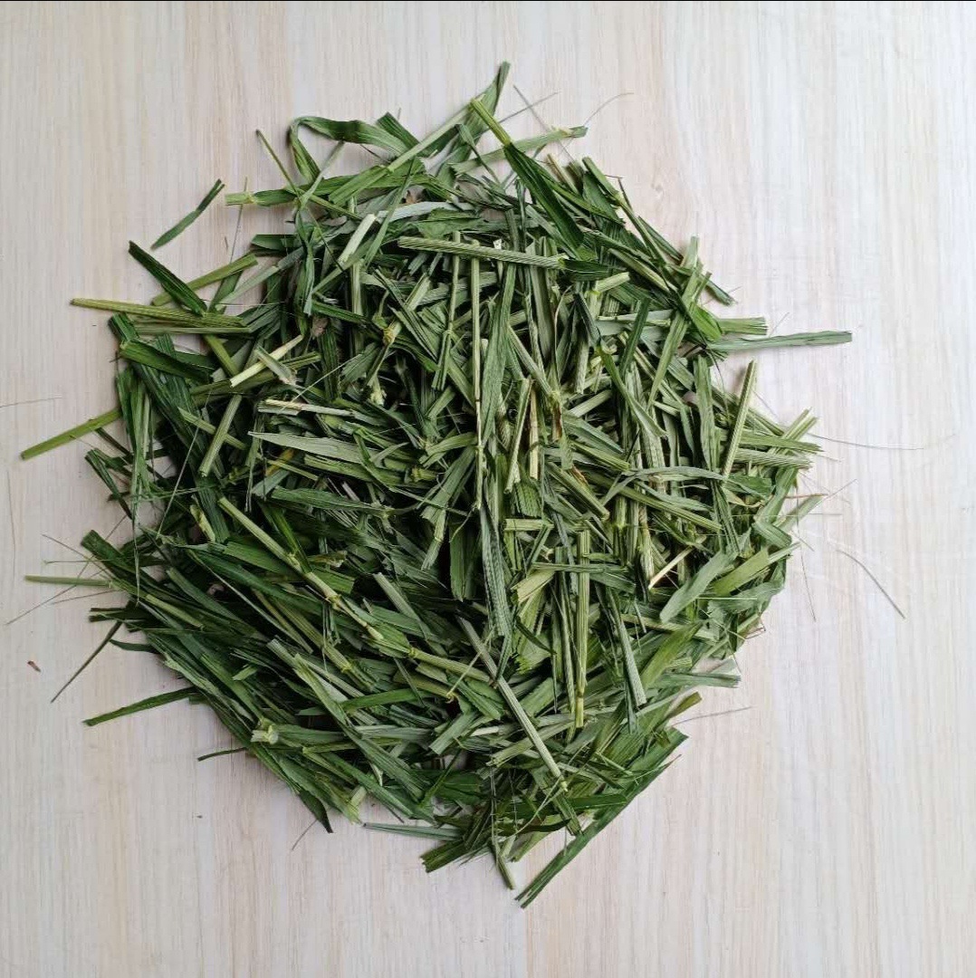 厂家直供2020烘干大麦草段 兔子龙猫荷兰猪宠物牧草 大麦苗干草