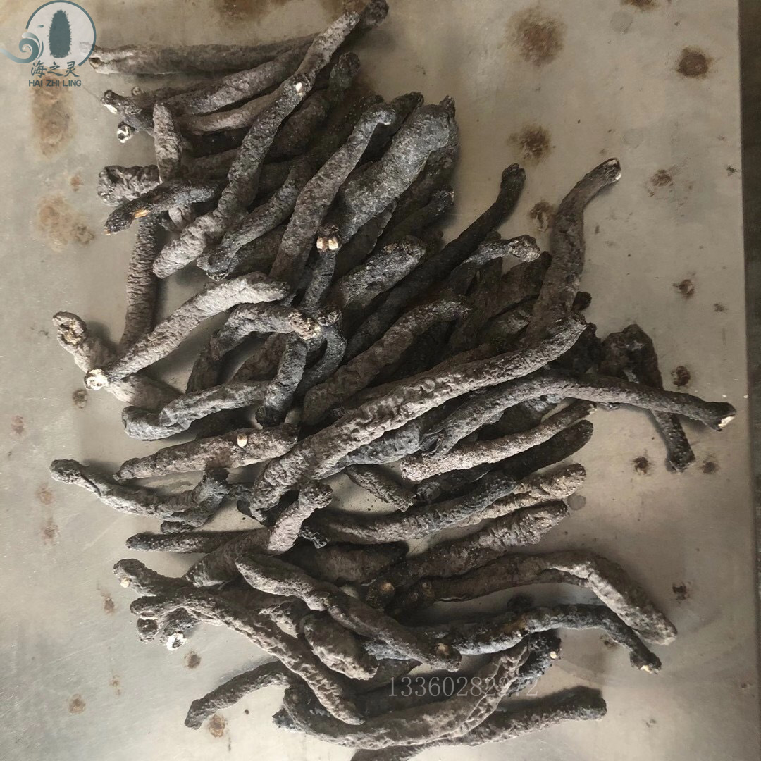 花蛇参海洋淡干带刺血蛇参黑参500克 海参干货批发酒店酒席食材