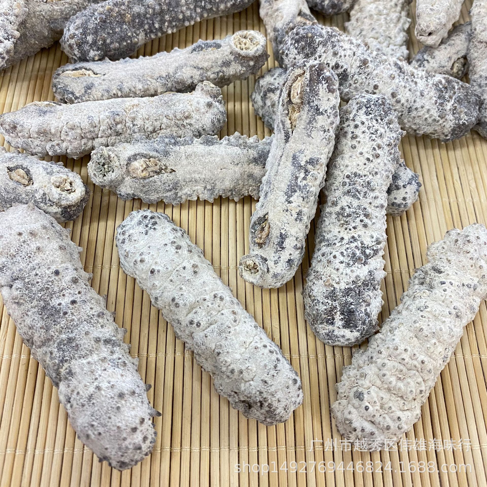 马尔代夫黄玉参深海淡干黄肉参海参野生海参干货500克616头