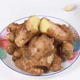 斤起发泡脚姜山东老姜生姜黄姜新鲜带泥小姜块姜瓣不售后看描述