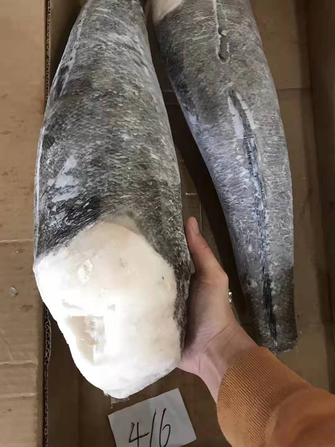 法国银鳕鱼 宝宝辅食切片肉质鲜美整条厂地直销可批发新鲜船冻